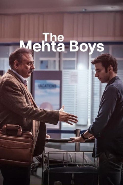 The Mehta Boys poster