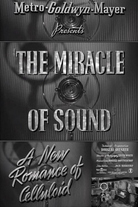 The Miracle of Sound poster