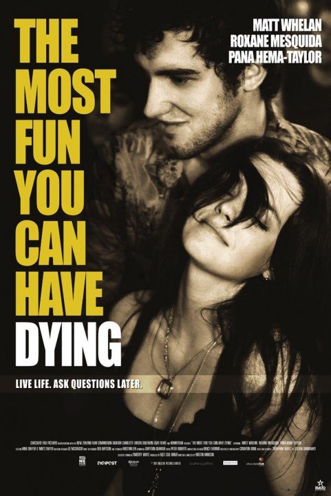 The Most Fun You Can Have Dying poster