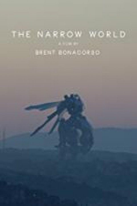 The Narrow World poster