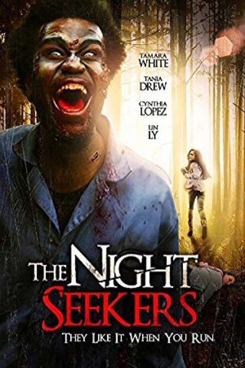 The Night Seekers poster