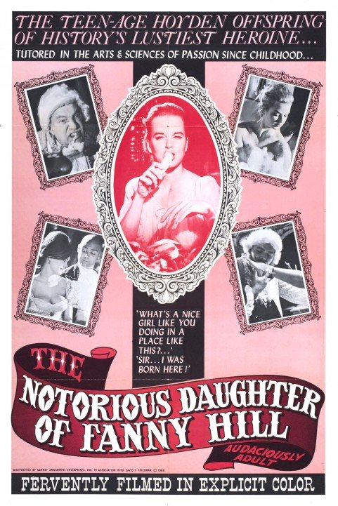 The Notorious Daughter of Fanny Hill poster