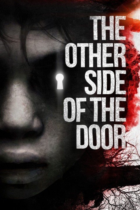 The Other Side of the Door (2016) poster