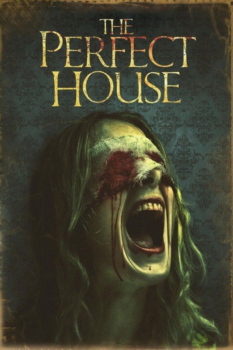 The Perfect House poster