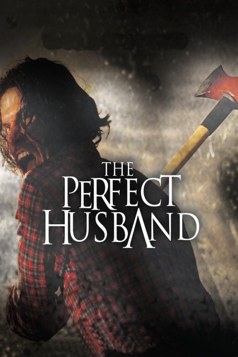 The Perfect Husband poster