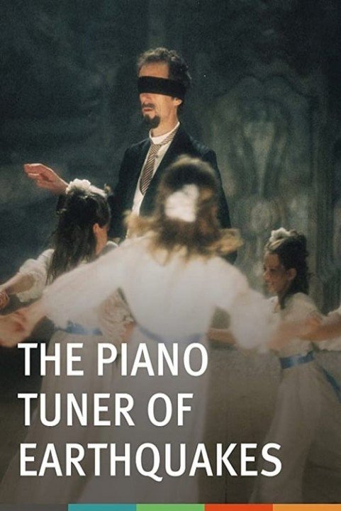 The Piano Tuner of Earthquakes poster