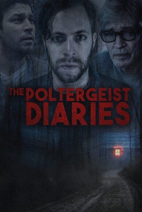 The Poltergeist Diaries poster