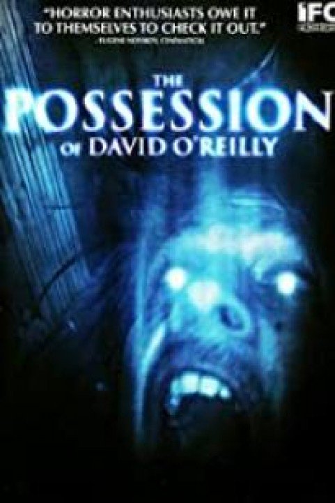 The Possession of David O'Reilly poster