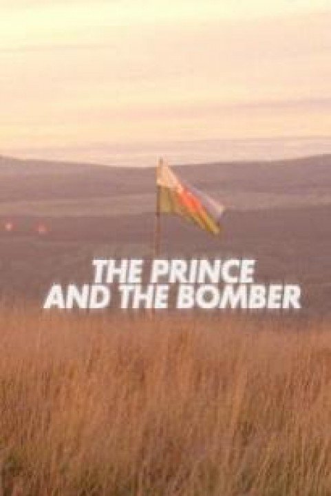 The Prince and the Bomber poster