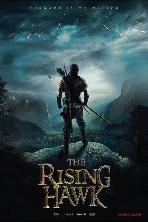 The Rising Hawk poster