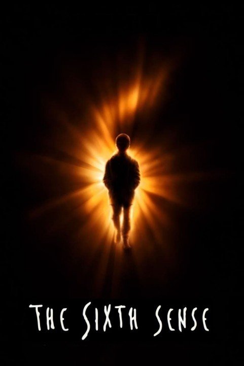 The Sixth Sense poster