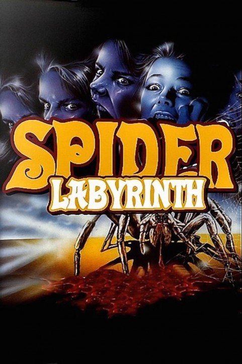 The Spider Labyrinth poster