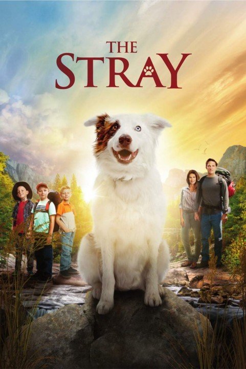 The Stray (2017) poster