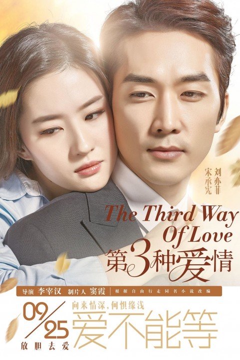 The Third Way of Love poster