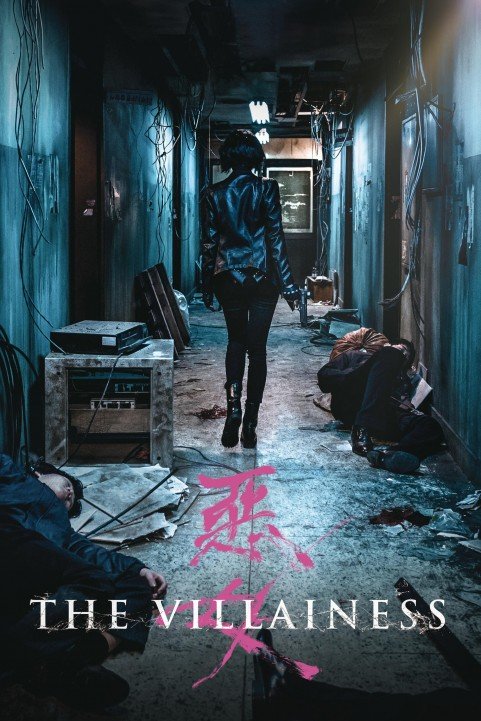 The Villainess poster