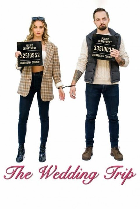 The Wedding Trip poster