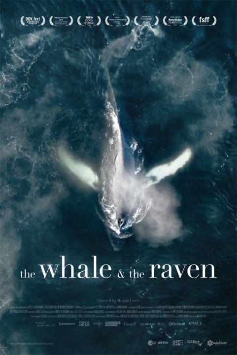 The Whale and the Raven poster