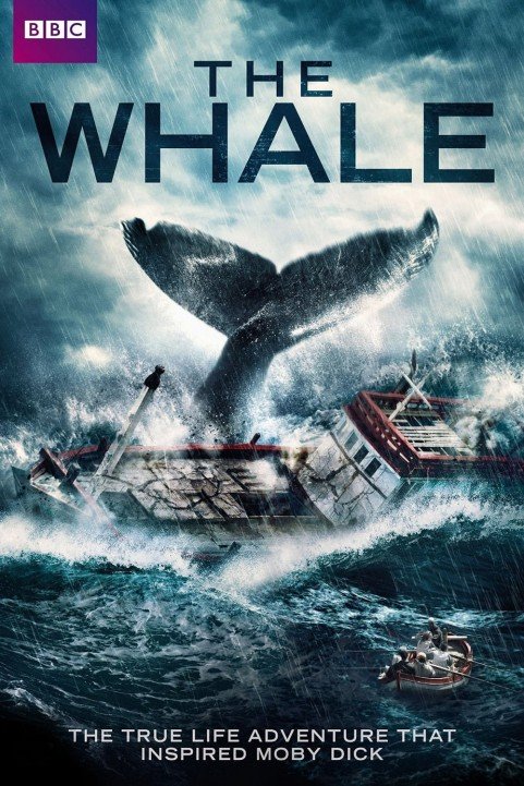 The Whale poster