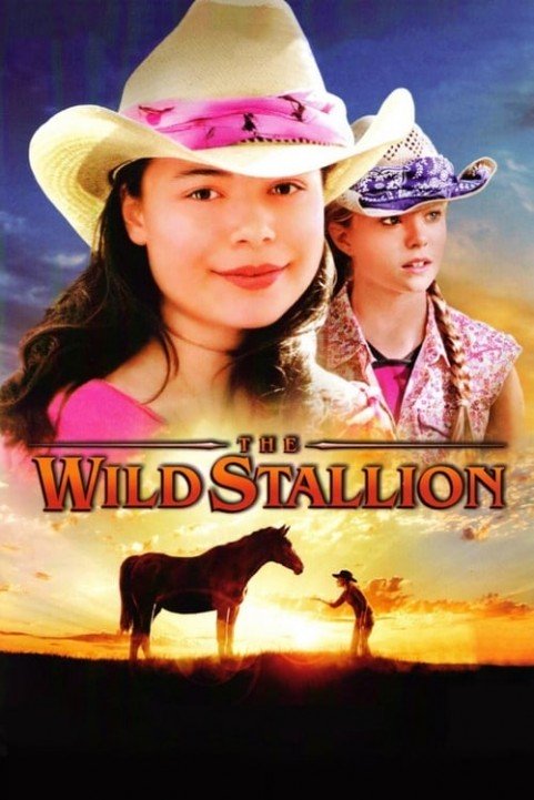 The Wild Stallion poster