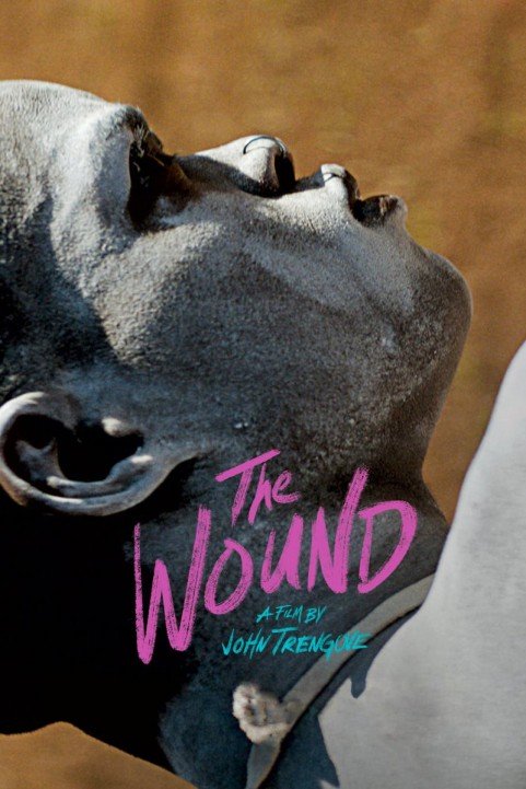 The Wound poster