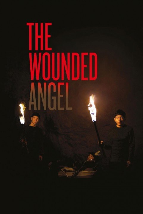 The Wounded Angel poster