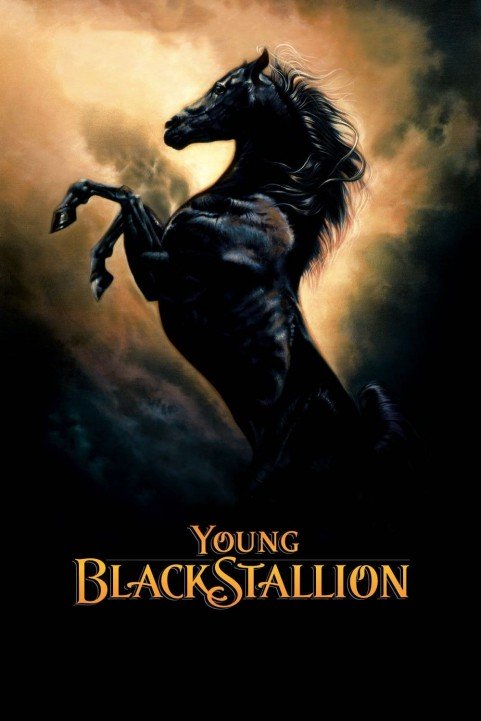 The Young Black Stallion poster