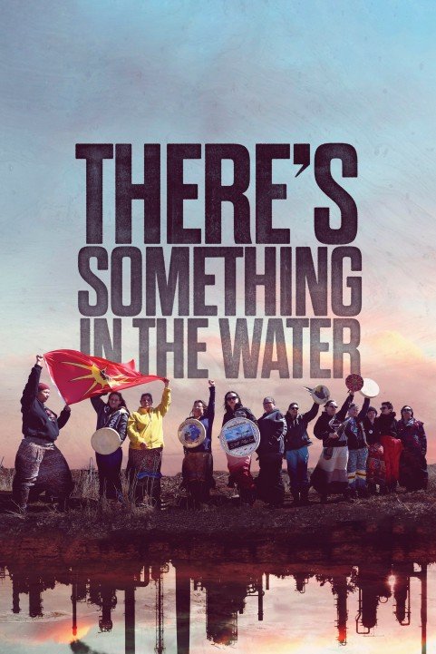 There's Something in the Water poster