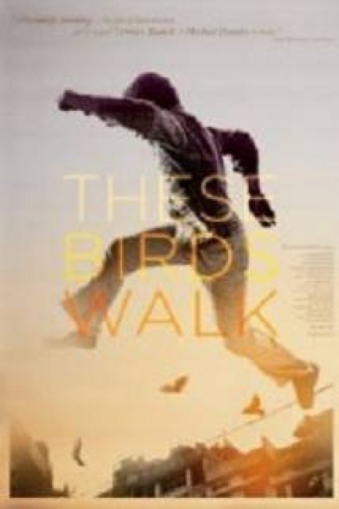 These Birds Walk poster