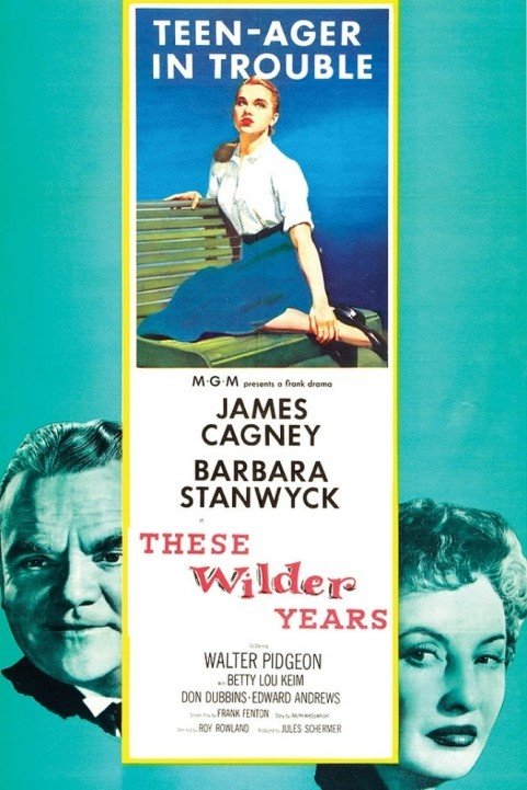 These Wilder Years poster