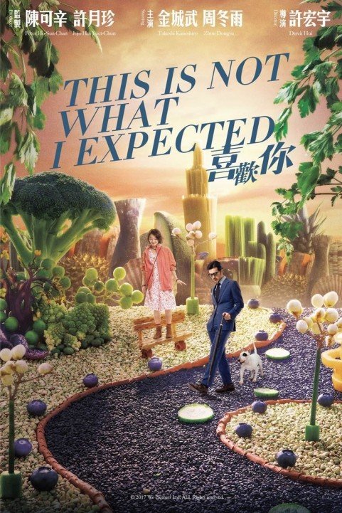 This Is Not What I Expected poster