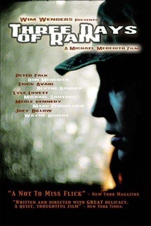 Three Days of Rain poster