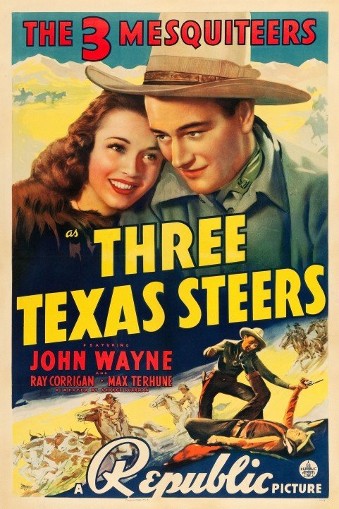 Three Texas Steers (1939) poster