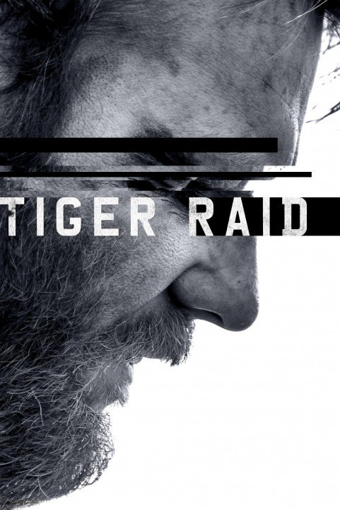 Tiger Raid poster