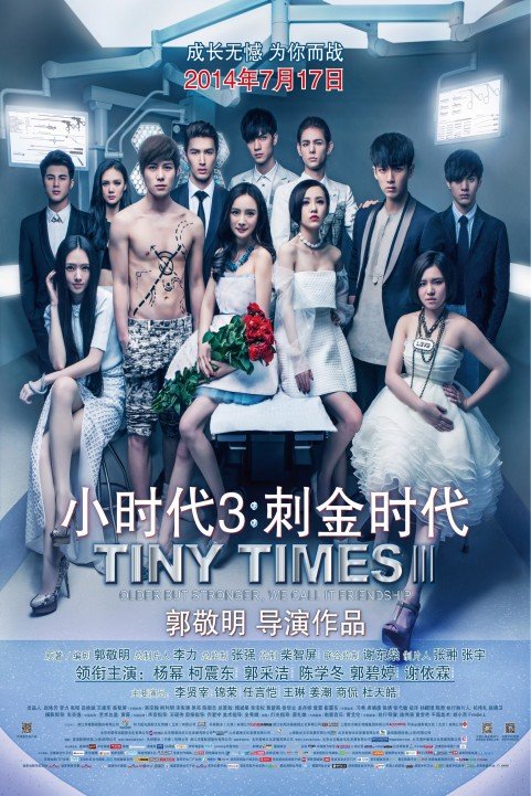 Tiny Times 3 poster