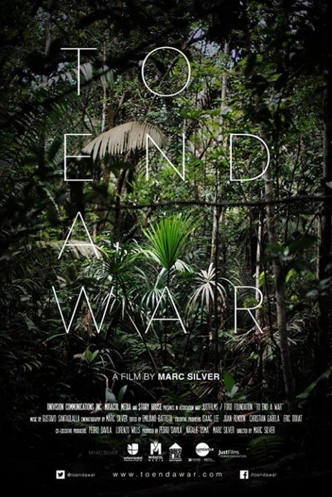 To End a War poster