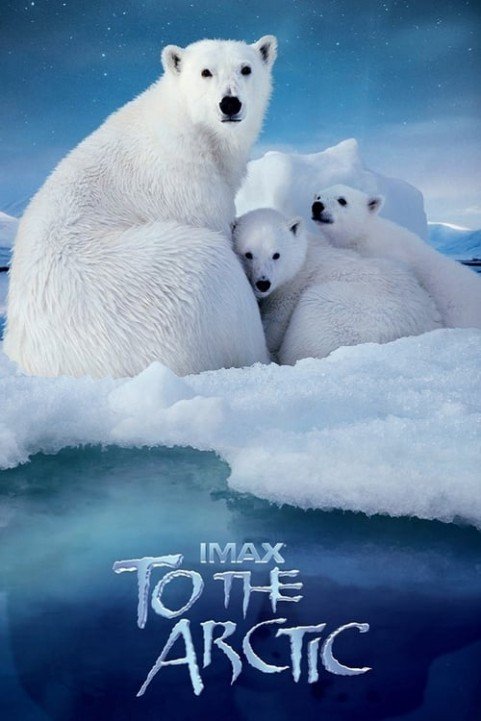 To the Arctic poster