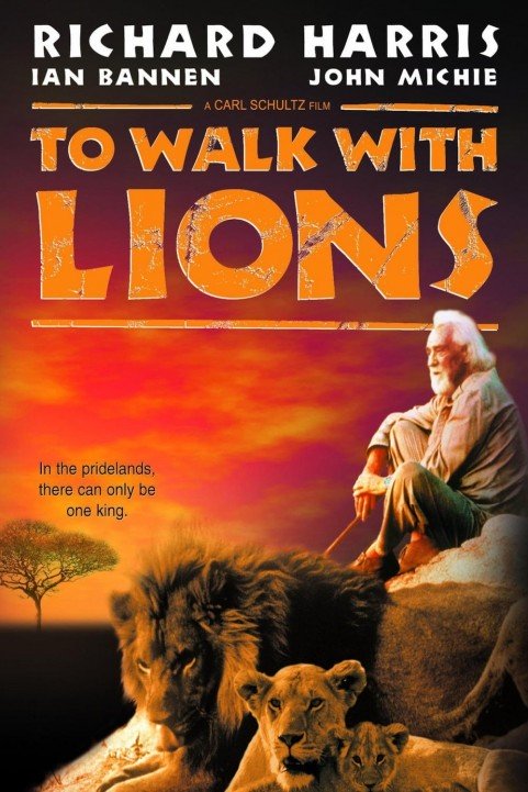 To Walk with Lions poster