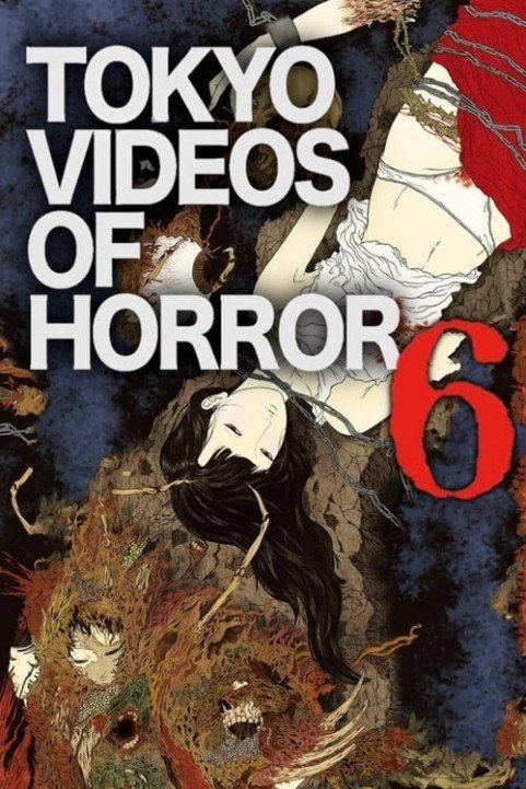 Tokyo Videos of Horror 6 poster