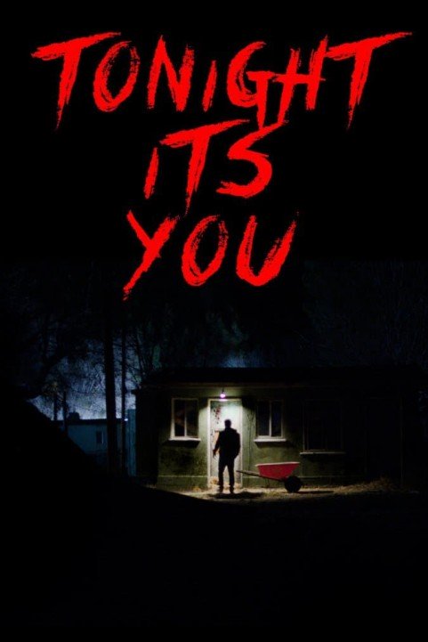 Tonight Its You poster