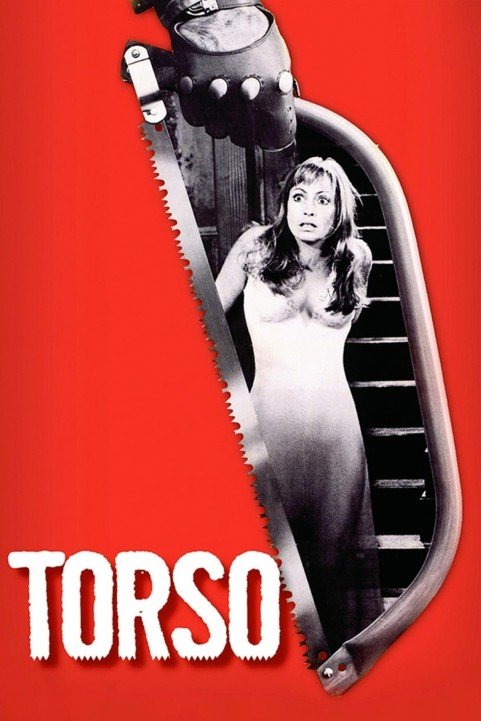 Torso poster