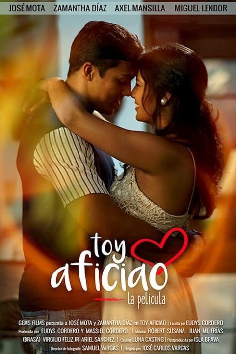 Toy Aficiao poster