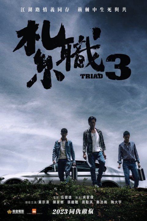 Triad 3 poster