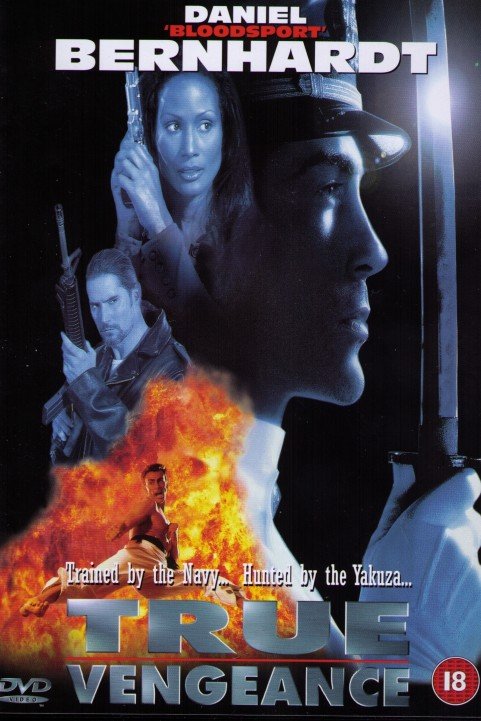 True Vengeance poster