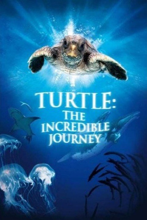 Turtle: The Incredible Journey poster