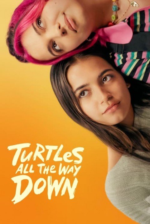 Turtles All the Way Down poster