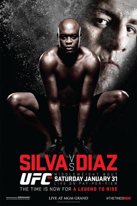 UFC 183: Silva vs. Diaz poster