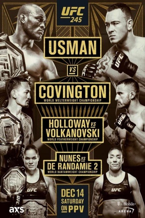 UFC 245: Usman vs. Covington poster