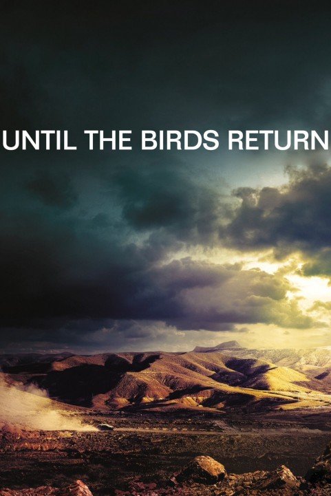 Until the Birds Return poster