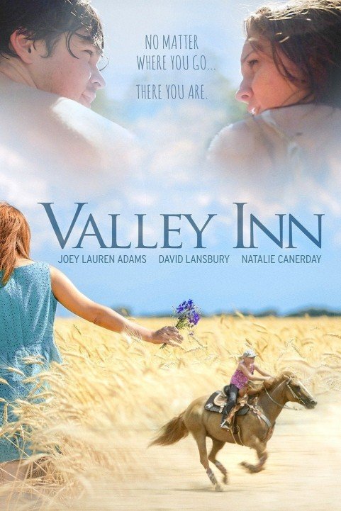 Valley Inn poster