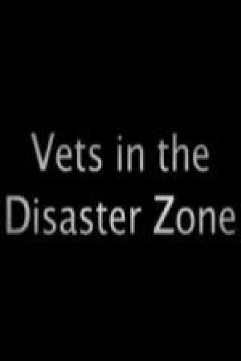 Vets In The Disaster Zone poster